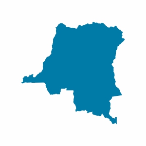 Demokratik Kongo Cumhuriyeti Vizesi